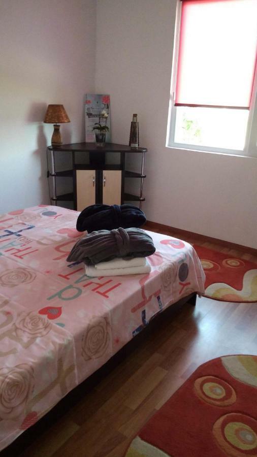The View Apartment Orşova Dış mekan fotoğraf